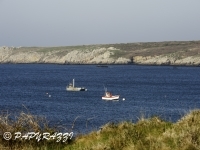 2012-03-27 à 09-24-55