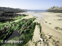 2012-03-27 à 12-14-19 (1)