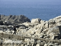 2012-03-27 à 13-41-11 (1)