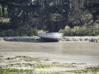 2012-03-28 à 10-31-52