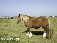 2012-03-28 à 15-18-15