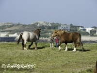 2012-03-28 à 15-29-27