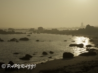 2012-03-29 à 07-51-36