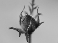 9.01