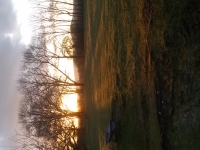 20180330_073235