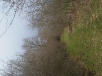 20180330_100057
