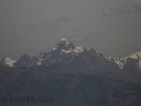 _DSC8020.jpg