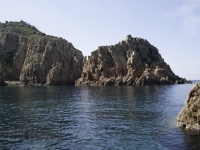 _DSC9856.jpg