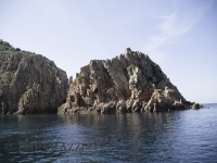 _DSC9867.jpg