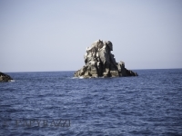 _DSC9908.jpg