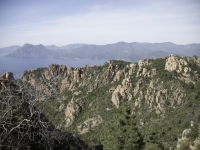 _DSC9947.jpg