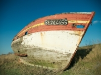 dsc3817