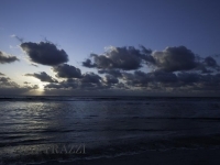 DSC103.jpg