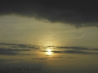 DSCN3450.jpg