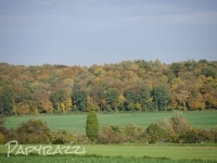 _DSC7195