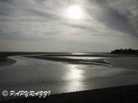 _DSC3585