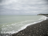 _DSC3690