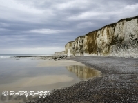 _DSC3721