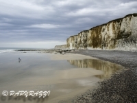 _DSC3723