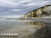 _DSC3724