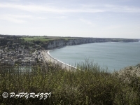 _DSC3757
