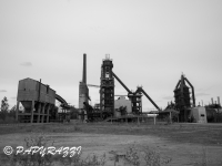 _DSC4635