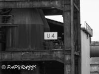 _DSC5455