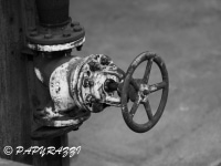 _DSC5476