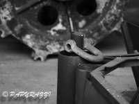 _DSC5483