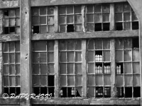 _DSC5497