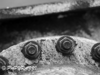 _DSC5500