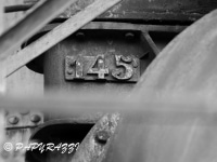 _DSC5504