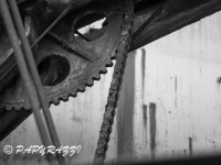 _DSC5505