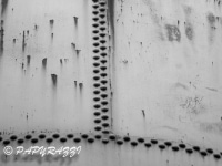 _DSC5506