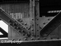 _DSC5517