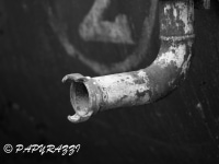 _DSC5524