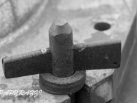 _DSC5526