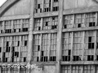 _DSC5530