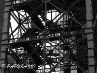 _DSC5540