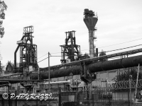 _DSC4525