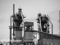 _DSC4555