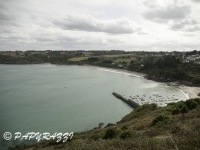 _DSC2907