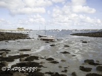 _DSC3050