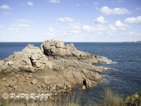 _DSC3090