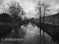 DSC_5972