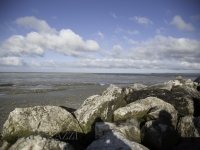 _DSC8706