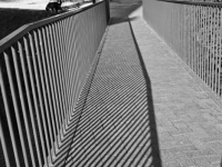 DSC_1808