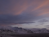 _DSC3310