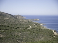DSC0345