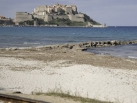 DSC0548